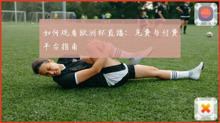 如何观看欧洲杯直播:免费与付费平台指南